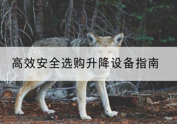 巴马升降货梯厂家推荐-*安全选购升降设备指南