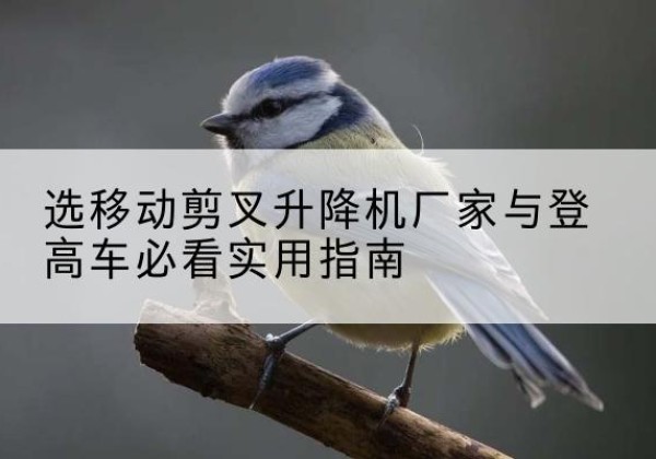 巴马电动升降机厂家-选移动剪叉升降机厂家与登高车必看实用指南